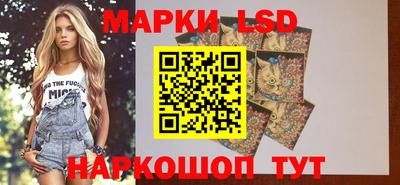 прущие грибы Ставрополь